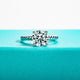 VVS1 D Color 2CT/3CT Moissanite Engagement Ring